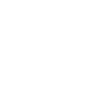 THE NORTH FACE Marketing Agency